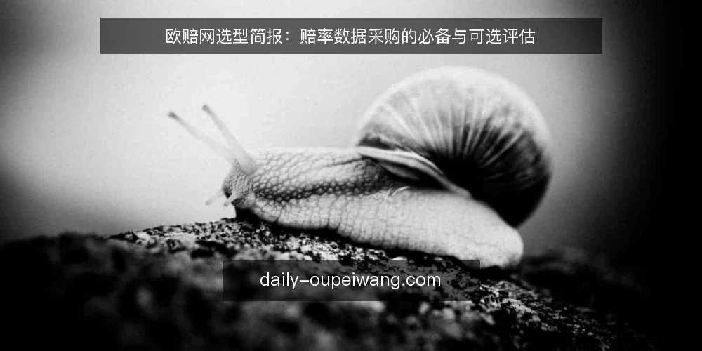 欧赔网选型简报：赔率数据采购的必备与可选评估 — 评估范围与需求定义 配图