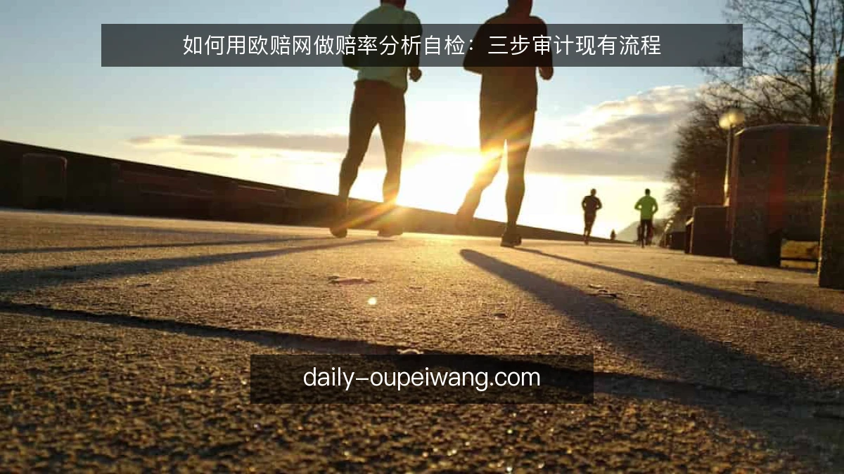 如何用欧赔网做赔率分析自检：三步审计现有流程
