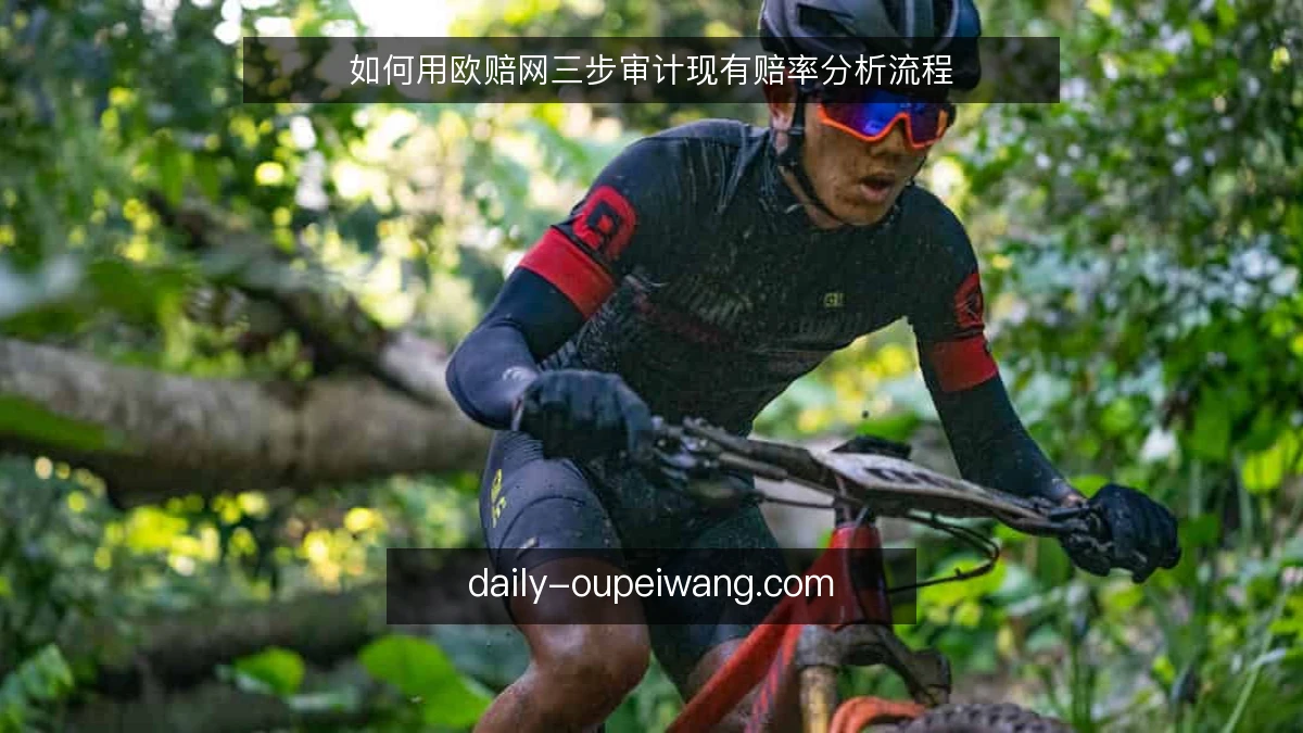 如何用欧赔网三步审计现有赔率分析流程