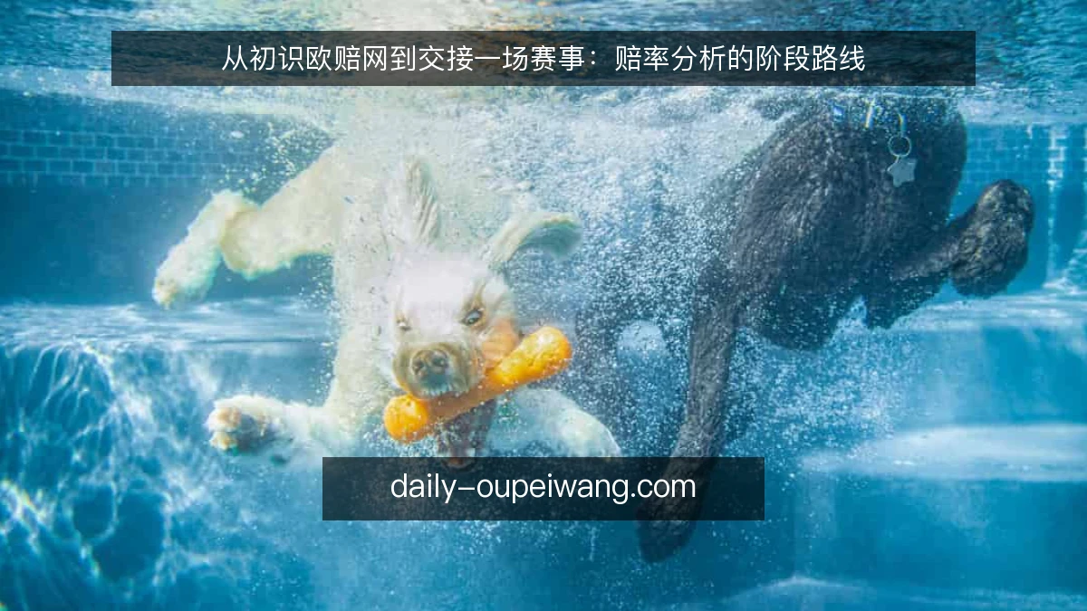 从初识欧赔网到交接一场赛事:赔率分析的阶段路线